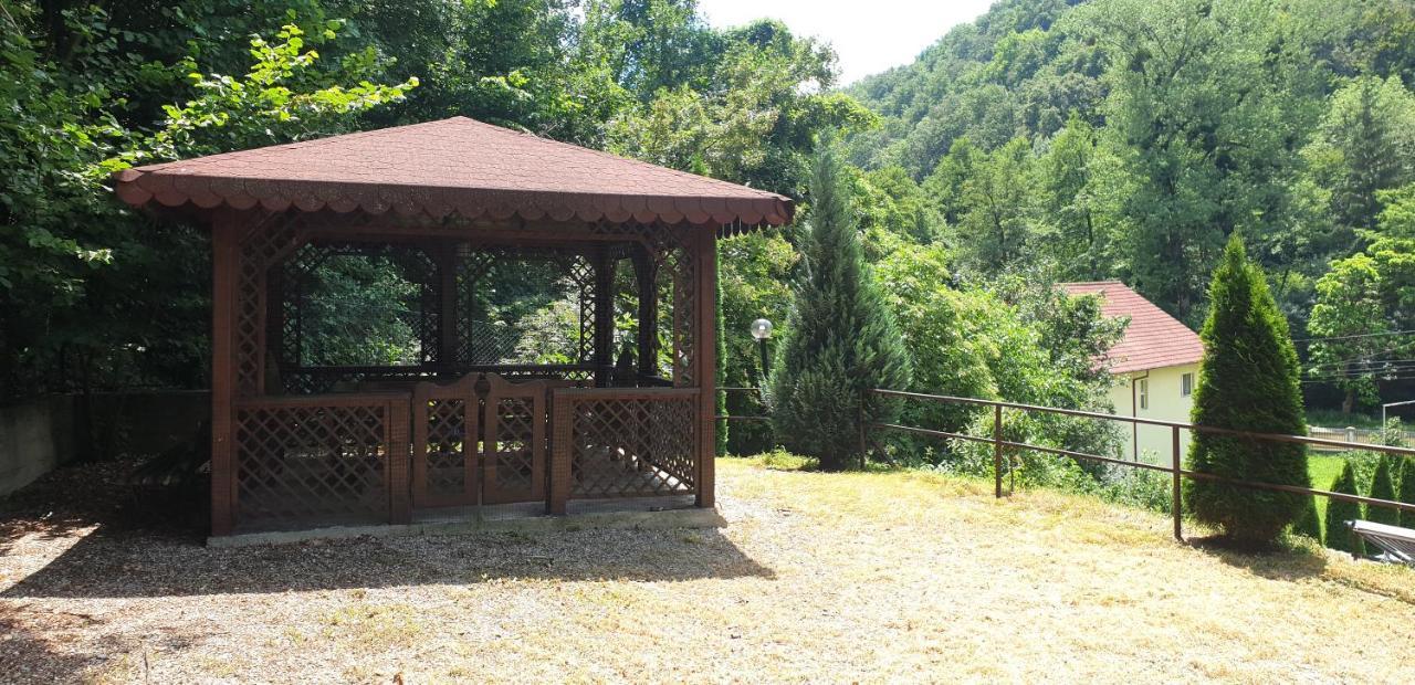 Vila Tisa Tismana Exterior foto